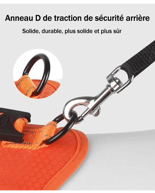 🔥Achetez-en 3, 15% de réduction🔥🐕Harnais pour chien sans traction pour animaux de compagnie